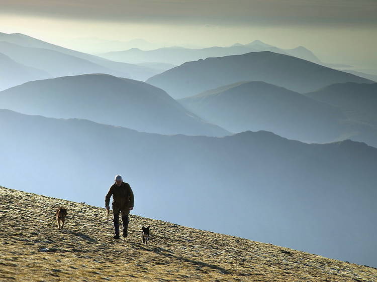 Climb to the very top of Wales