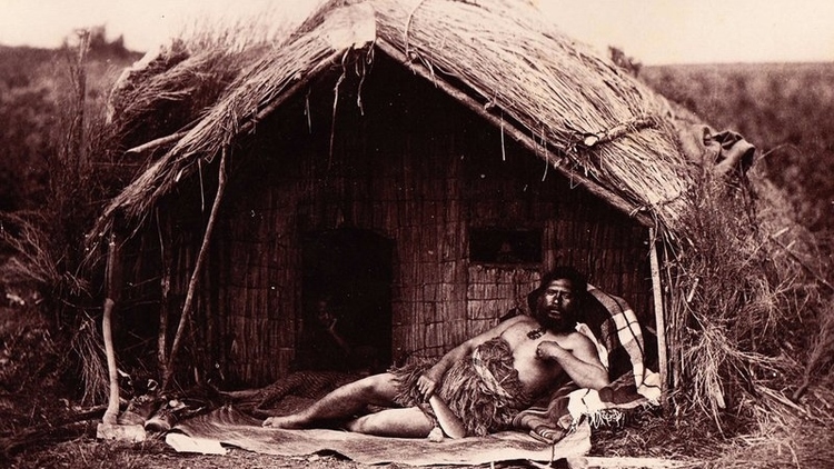 Maori chief.JPG