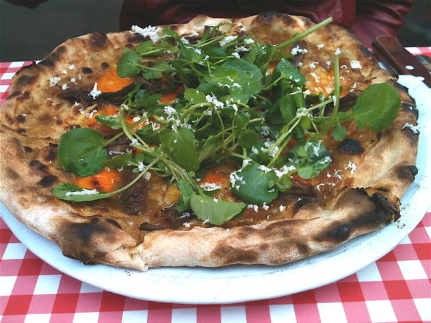 UJpizza.JPG UJpizza.JPG