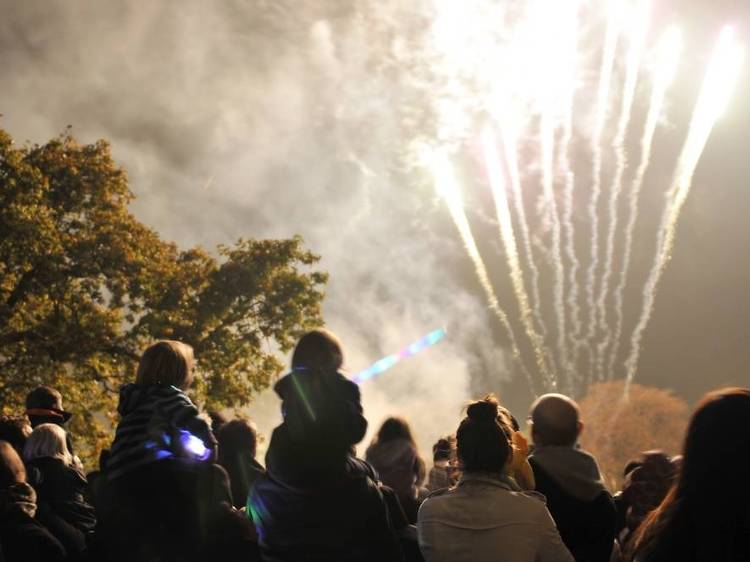 Firework displays for Bonfire Night