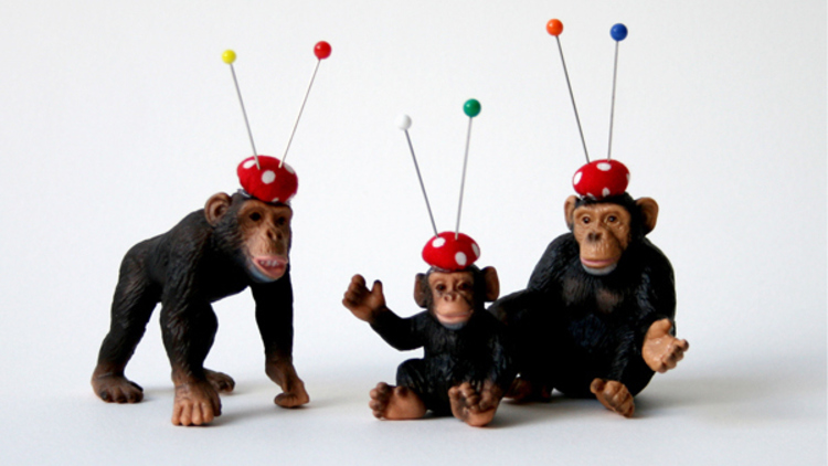 Chimp pin cushions, Noari Priestly.jpg