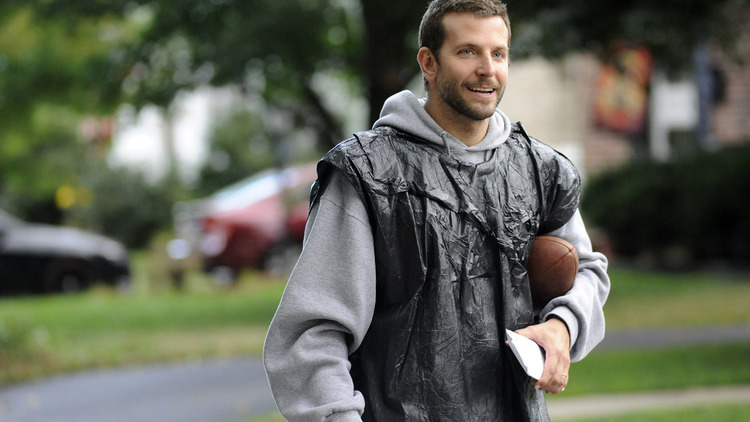 Silver Linings Playbook.JPG