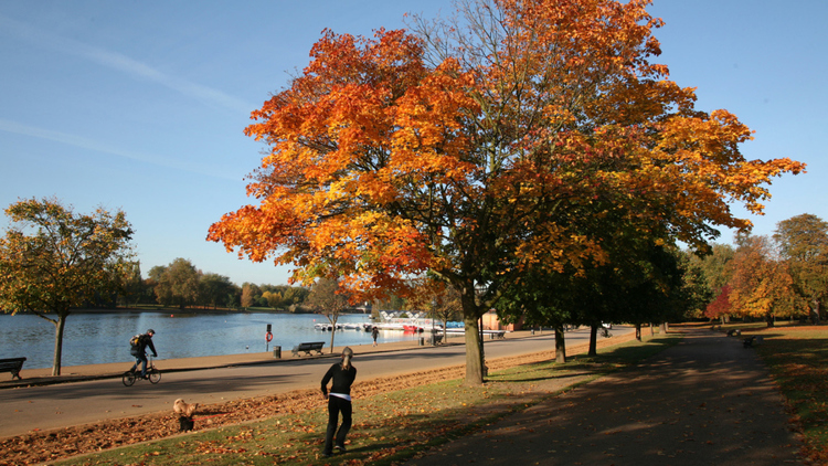 Autumn walks in London parks