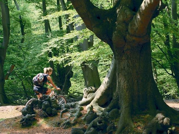101 things to do in London with kids, cycling routes Epping Forest 101 things to do in London with kids, cycling routes Epping Forest