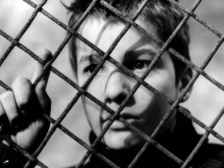 The 400 Blows