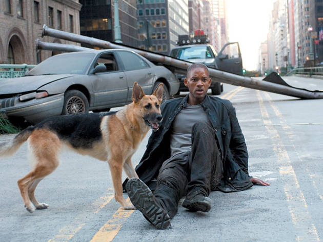 I Am Legend I Am Legend