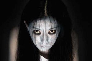The grudge 2004 sales