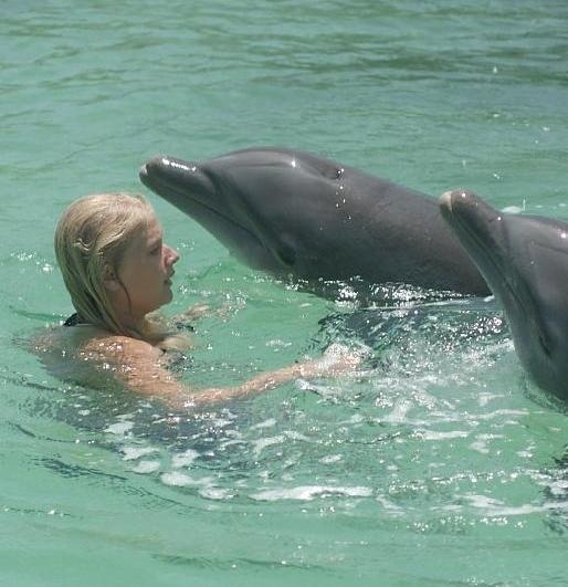 Eye of the Dolphin 2006, directed by Michael Sellers Film
