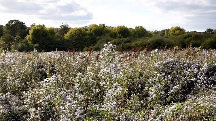 Lee Valley