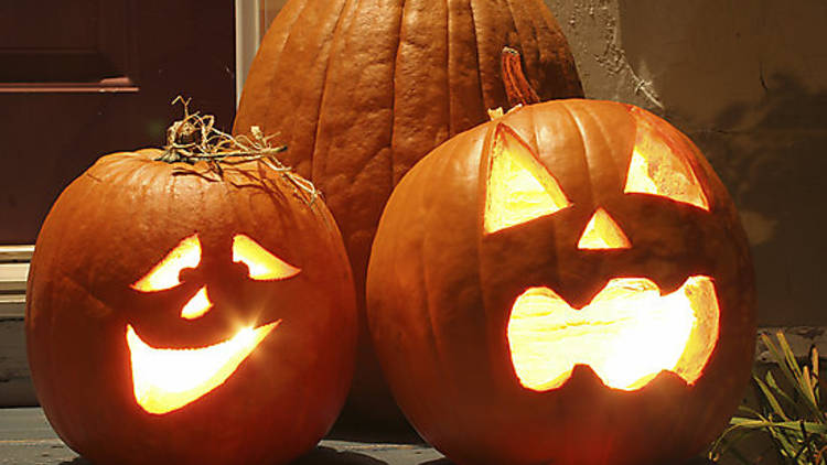 pumpkin.jpg