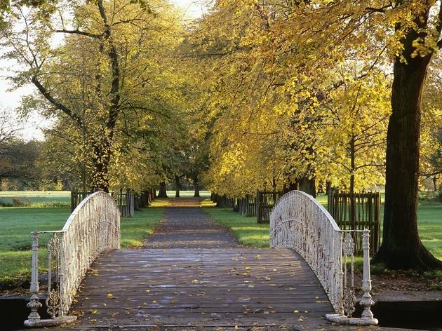 Morden Hall Park | Attractions in Morden, London