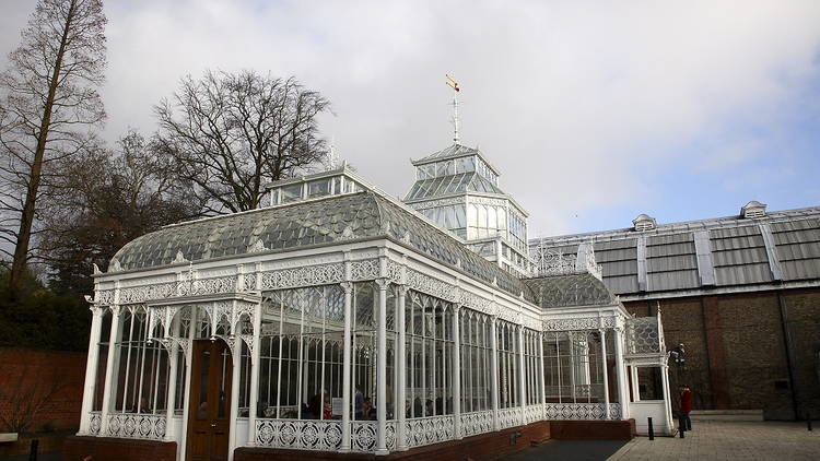 Horniman_Tove K Breitstein.jpg