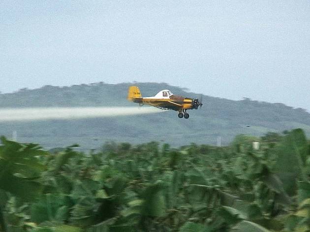 BANANAS_Plane_350dpi.jpg BANANAS_Plane_350dpi.jpg
