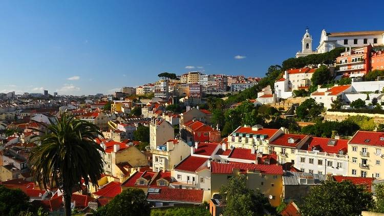 Lisbon, Portugal:© Andrii Bozhok.jpg