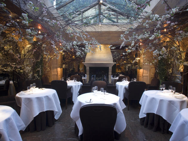 Covent Garden London Restaurants / The Best Covent Garden Restaurants