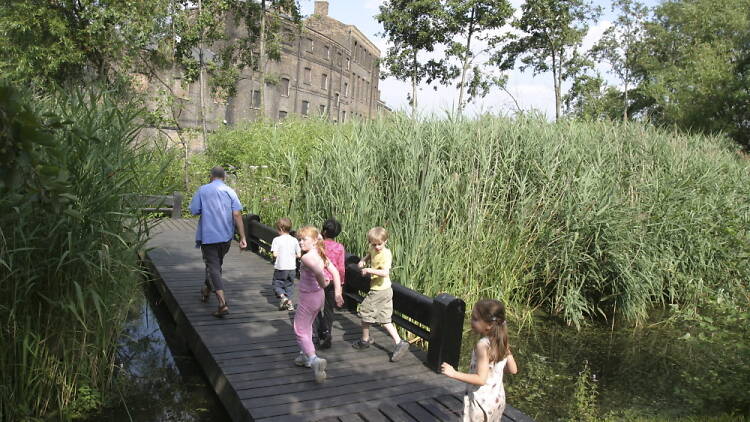 Camley street park london 