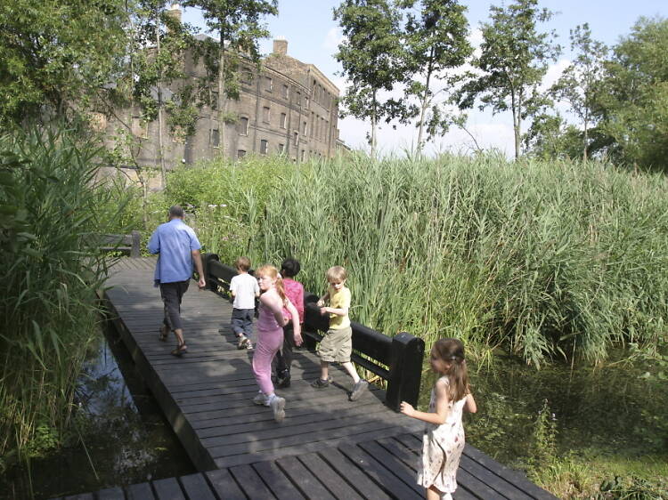 Go pond dipping at Camley Street Natural Park