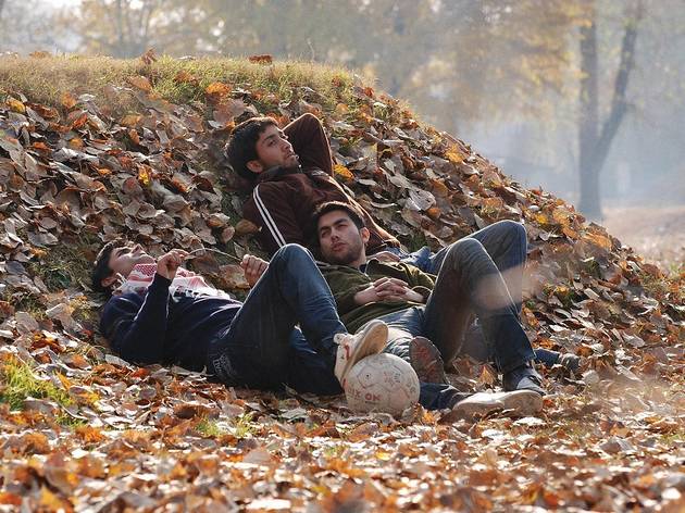 Autumn.jpg Autumn.jpg