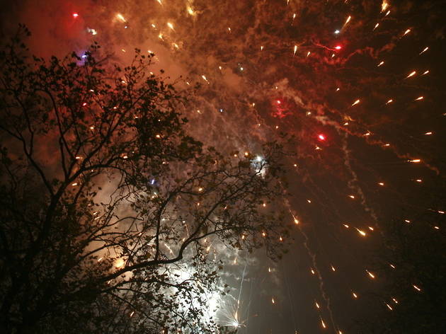 ClaphamCommonFireworks.jpg ClaphamCommonFireworks.jpg