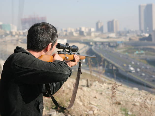 HUNTER_2.jpg HUNTER_2.jpg