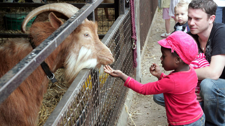 Lee Valley Park Farms