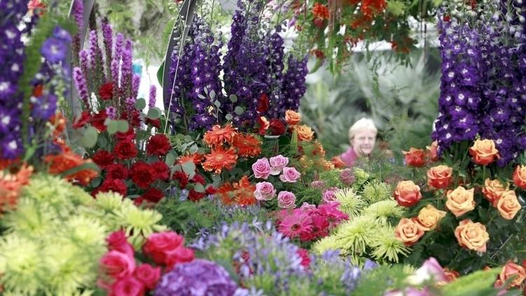 AT_ChelseaFlowerShow_CREDIT_RHS_LloydSturdy_press2011.jpg