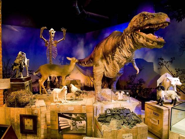 Marvel at Ripley's mad exhibits