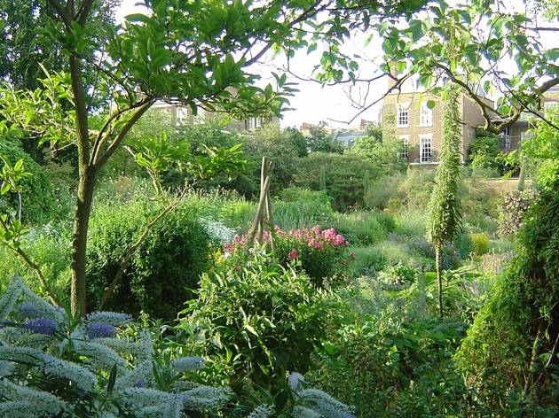 Chelsea Physic Garden_CREDIT_Charlie Hopkinson (1).jpg Chelsea Physic Garden_CREDIT_Charlie Hopkinson (1).jpg