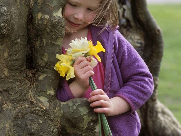 Child with Spring posy by tree (2).jpg Child with Spring posy by tree (2).jpg