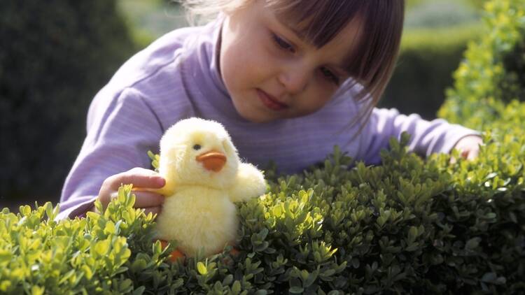 Cadbury Easter - child and fluffy chick (2).jpg