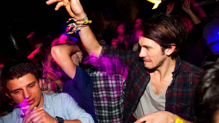 buzzinfly-live-1.jpg