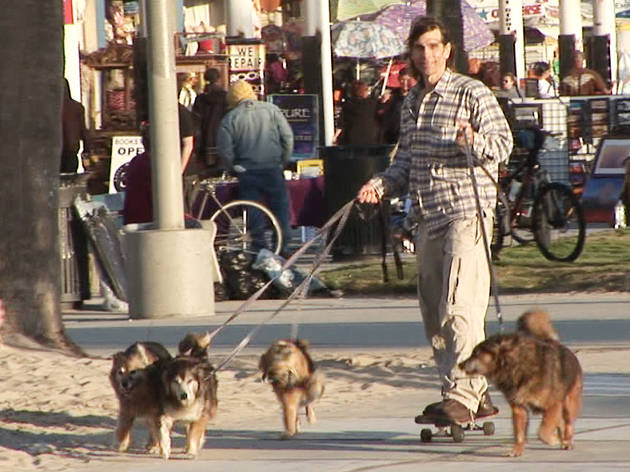 dogsleigh.jpg dogsleigh.jpg