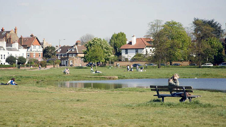 WimbledonCommon_Credit_MingTangEvans.jpg