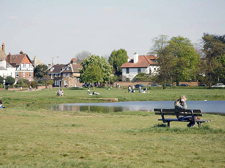 Wimbledon Common