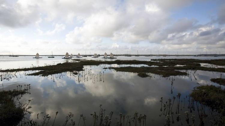 Mersea Island