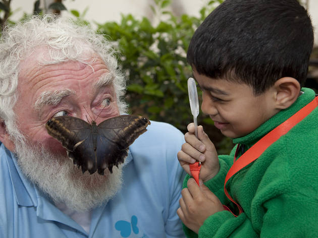 Butterfly_World_12.jpg Butterfly_World_12.jpg