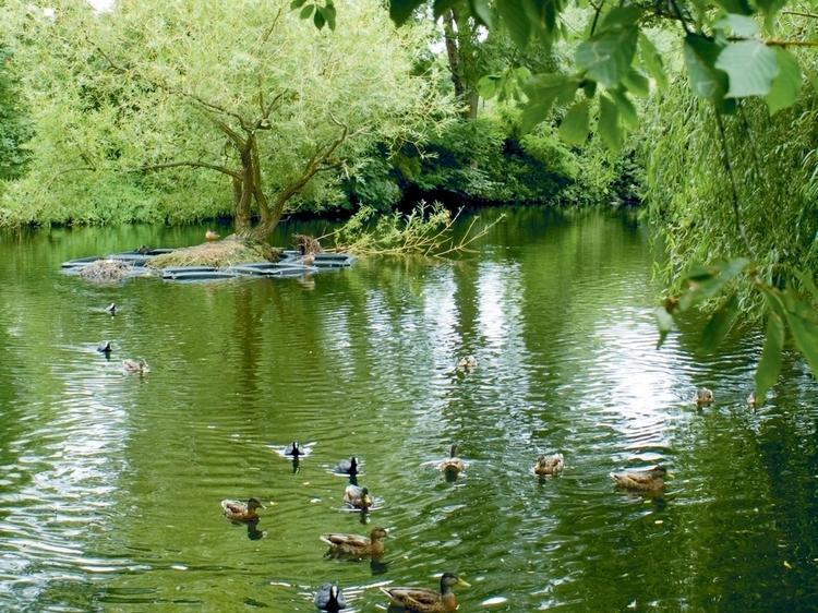 The hidden garden in Brockwell Park