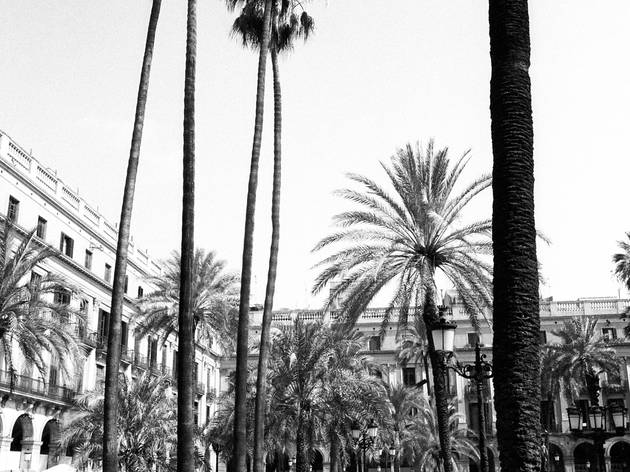 spanish square copyright tricia de courcy ling-1.jpg spanish square copyright tricia de courcy ling-1.jpg