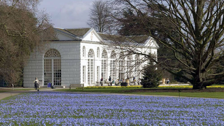 AT_KewGardens_Orangery_press2011.jpg