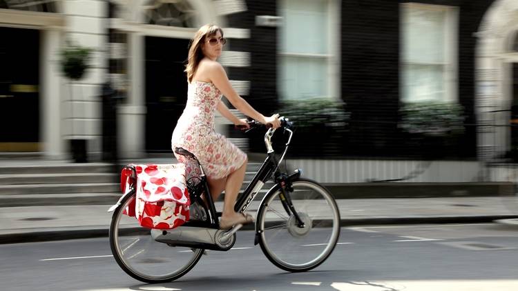 ElectricBike216_RG.jpg