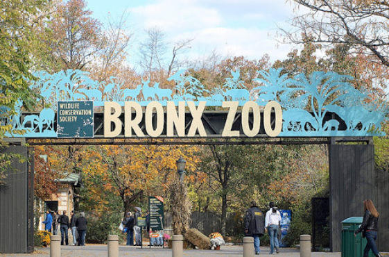 Bronx Zoo Wildlife Conservation Society