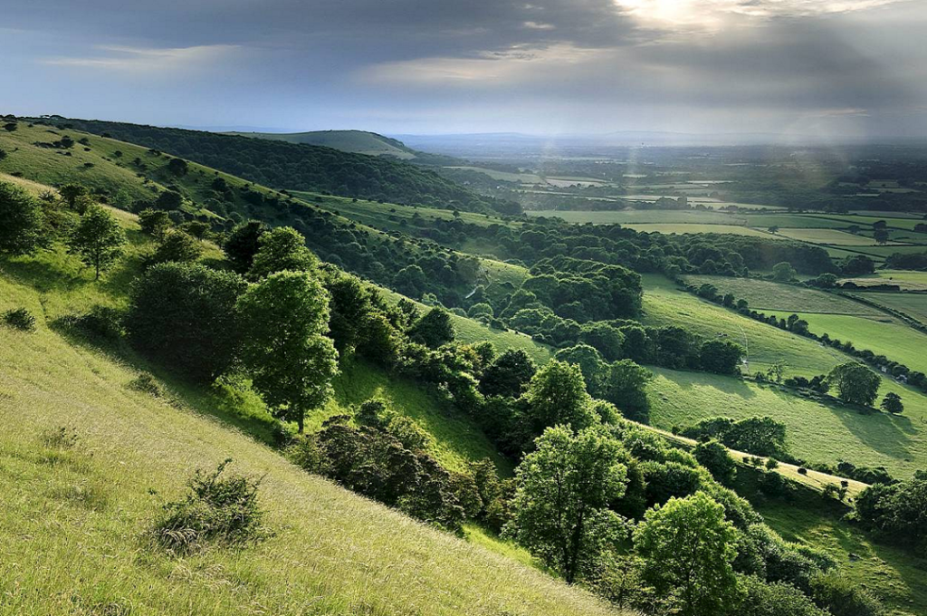 Utter downer: Ditchling Beacon, East Sussex© John Dominick