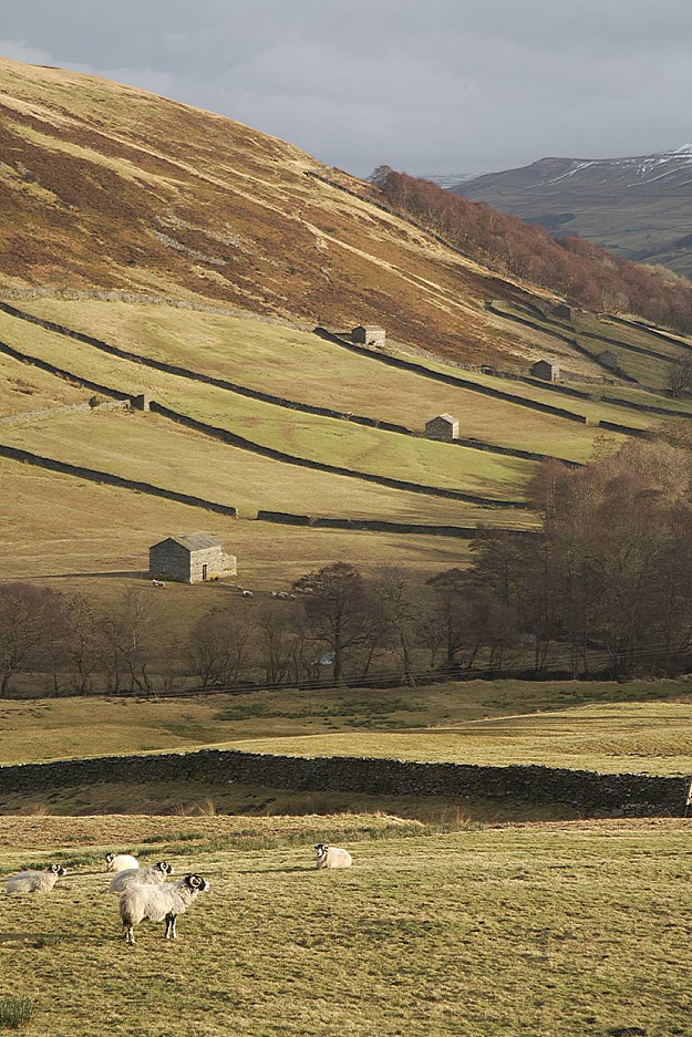 Yorkshire Dales