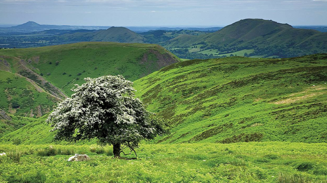 The Shropshire Hills© Ed Fury