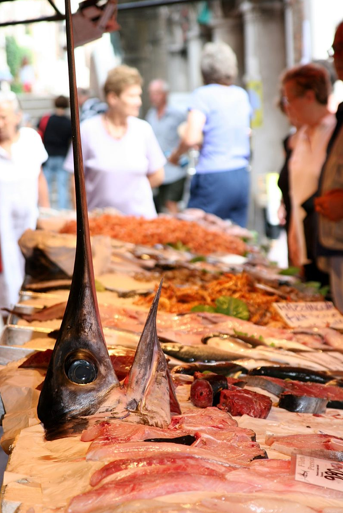 Swordfish at Rialto Market, Venice
